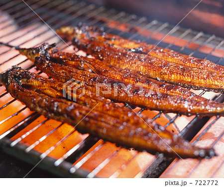 うなぎの蒲焼き 722772
