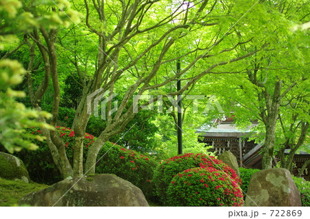 広島県宮島、大聖院の紅葉の木立 722869