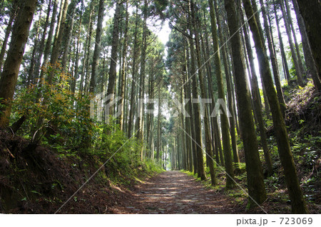 箱根旧街道：腰巻地区の石畳 723069