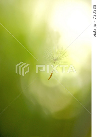 風に乗って 風に乗って 723588