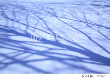雪原の影 雪原の影 723630