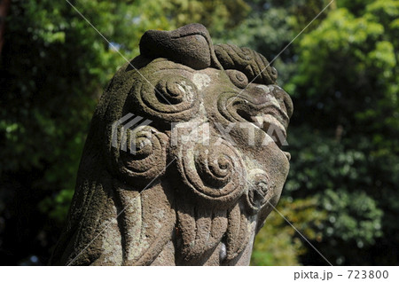 豊中稲荷神社の狛犬 723800