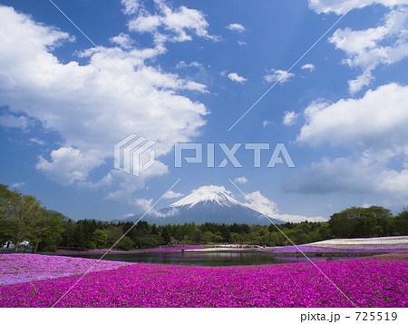 富士山と芝桜 725519