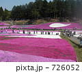芝桜公園観光 726052
