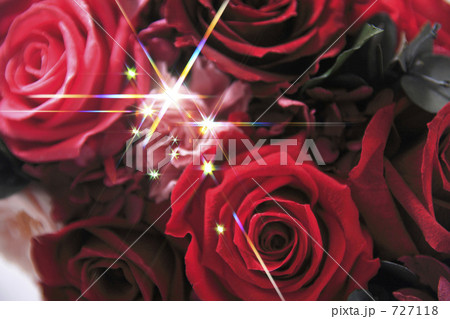 煌く薔薇 727118