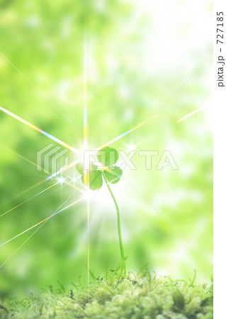 四つ葉のクローバー 727185