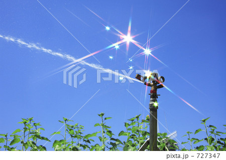 スプリンクラー スプリンクラー 727347