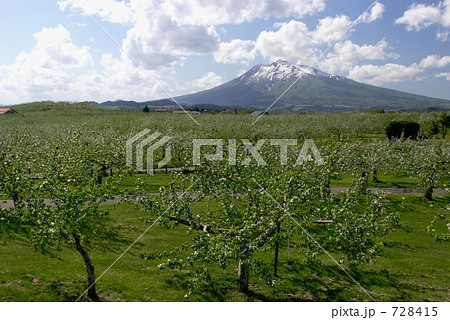 ５月のりんご畑と岩木山　弘前市 728415