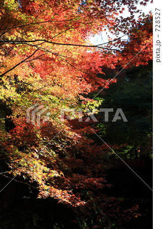 大原・三千院の紅葉 大原・三千院の紅葉 728527