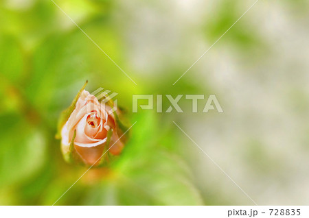 目覚めの時 728835