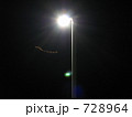 街灯に集まる蛾 728964