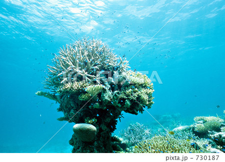 h-ir029 h-ir029 730187