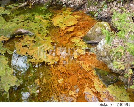 春の一景観 730697