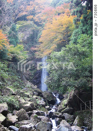 養老の滝 730866
