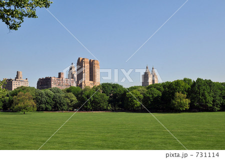 早朝のシープメドウ 731114