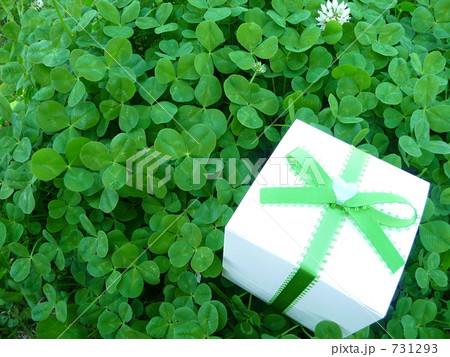 シロツメクサの葉とプレゼント シロツメクサの葉とプレゼント 731293