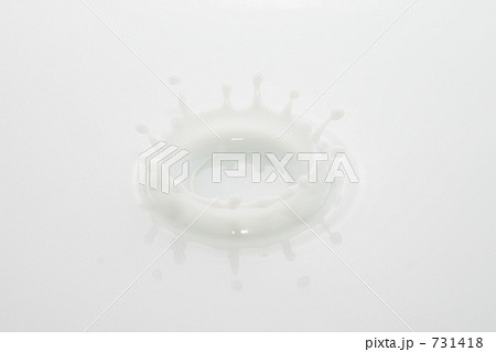 ミルク ミルク 731418