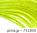 黄色い木綿糸　 731909