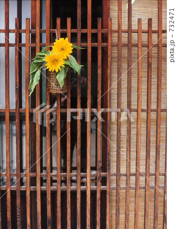 静かな夏の 732471