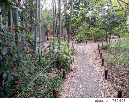 向島百花園 向島百花園 732493