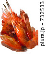 エビ エビ 732533