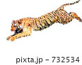 跳躍する虎 跳躍する虎 732534