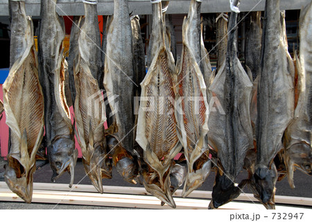 鮭の日干し　283 732947