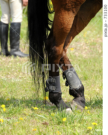 馬術大会 馬術大会 733100