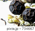 黒胡椒 734667