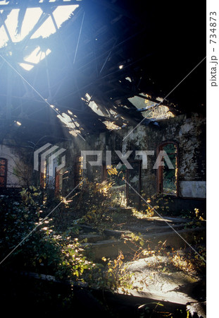 自然への回帰 自然への回帰 734873