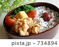 唐揚げ弁当　横撮り 734894