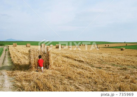 かくれんぼ 735969