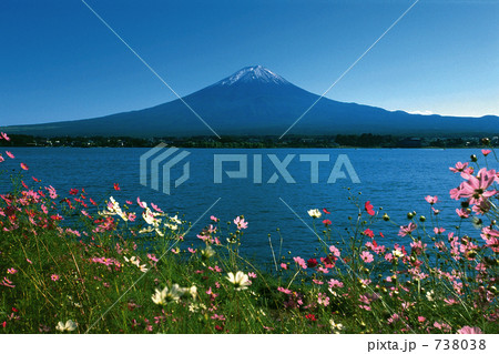 富士山とコスモス 富士山とコスモス 738038