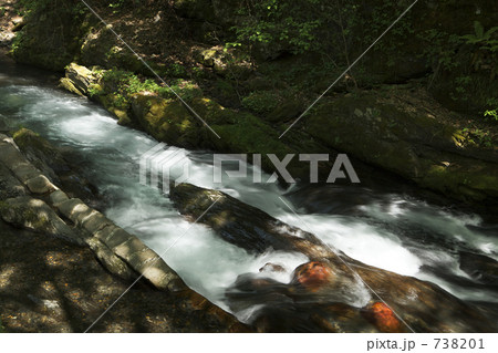 横川川の蛇石 738201