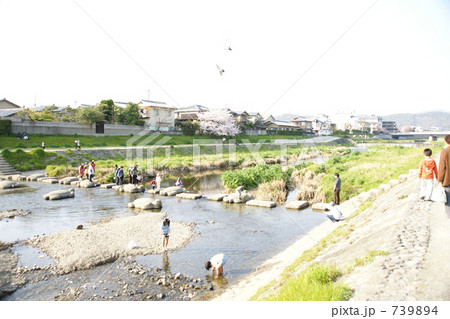 鴨川で水遊び 鴨川で水遊び 739894
