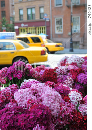 サマープレゼント サマープレゼント 740428