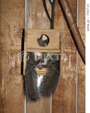 頭隠して。。。 740714