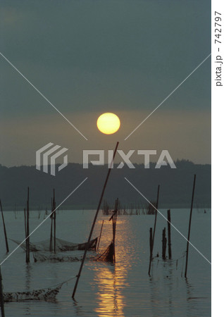 印旛沼の日の出 742797