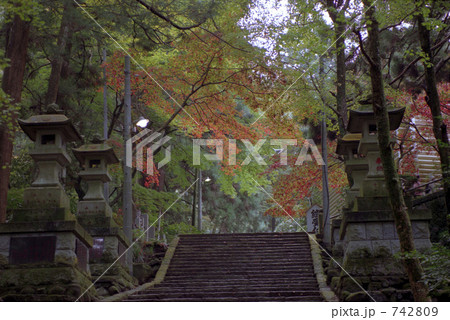 大雄山、最乗寺紅葉 742809