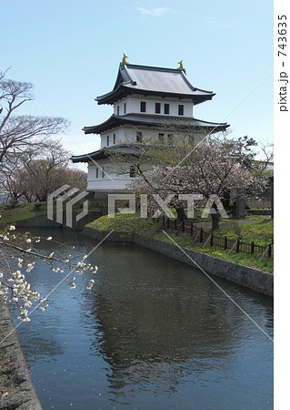 【縦構図】松前城（福山城）のお堀と桜 743635
