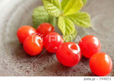 ゆすらうめの実-2 744071