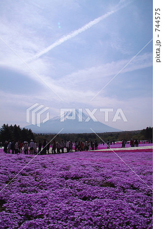 富士山と芝桜 富士山と芝桜 744575