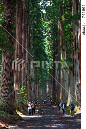 戸隠神社 九頭龍社参道の杉並木 戸隠神社 九頭龍社参道の杉並木 745662