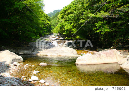 新緑の滑床渓谷 746001