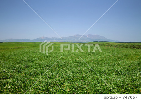 北阿蘇の新緑と九重連山 北阿蘇の新緑と九重連山 747067