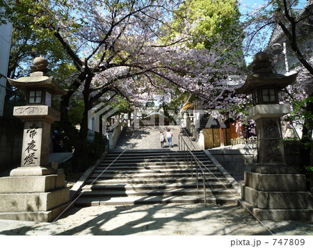 桜咲く高津神社 747809