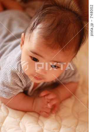 顔をあげる赤ちゃん 748002