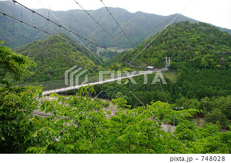 山中の吊橋 山中の吊橋 748028