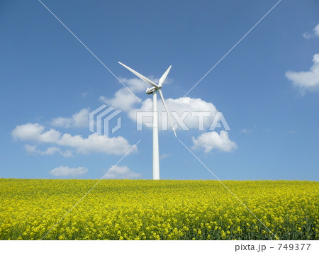 デンマークの風力発電 749377