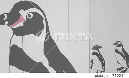 海響館の工事壁面イラスト ペンギン２ の写真素材